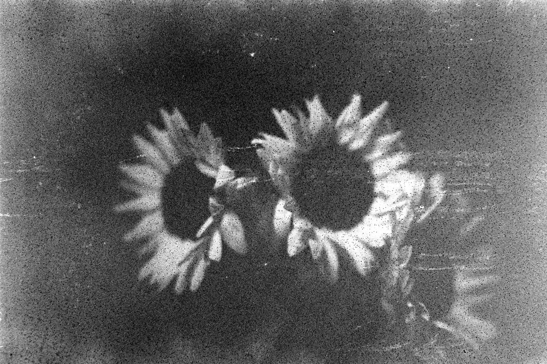 Ziad Antar, <i>Untitled</i>, 2024. Photo-paper mounted on dibond, 23 5/8 x 15 3/4 in (40 x 60 cm)